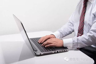 上网是什么意思?