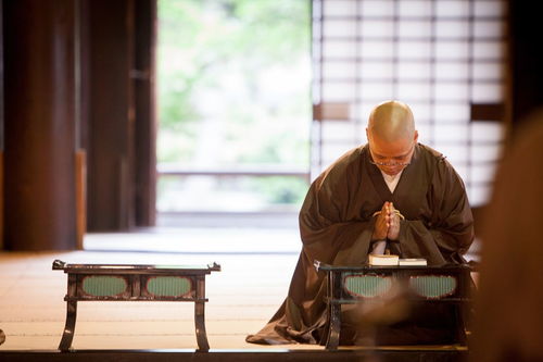 谆谆教诲怎么读