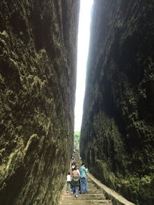 江郎山和韵作者，江郎山和韵古诗朗读