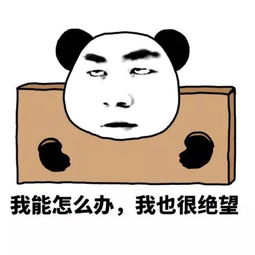 诚心诚意什么意思?