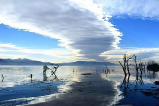 热海温泉酒店哪家有名，热海温泉门票