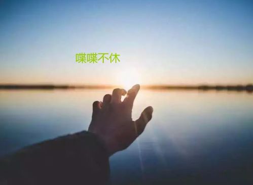 喋喋不休的造句子