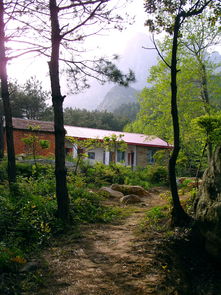 佛子岭哪家农家乐好吃