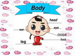 nose怎么读音发s还是z，ear怎么读