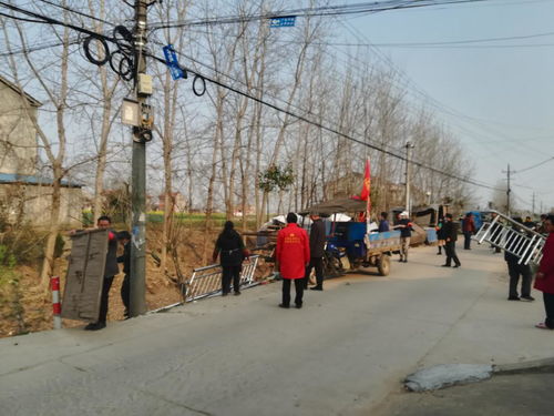 朱河镇属于哪个市，朱河镇天气预报