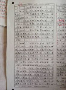 高中生感恩作文800字【五篇】