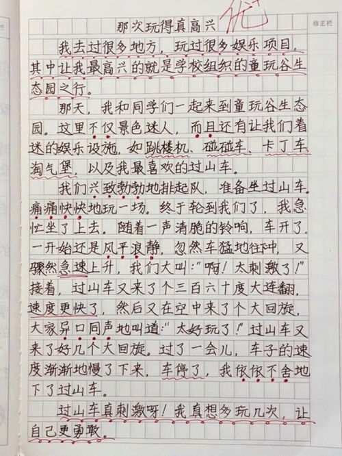 玩的真开心作文三年级100字，玩的真开心作文三年级玩游戏300字怎么写