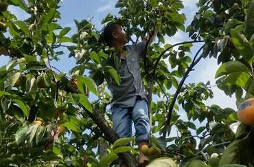 恭城天气预报40天查询结果表，广西恭城天气预报