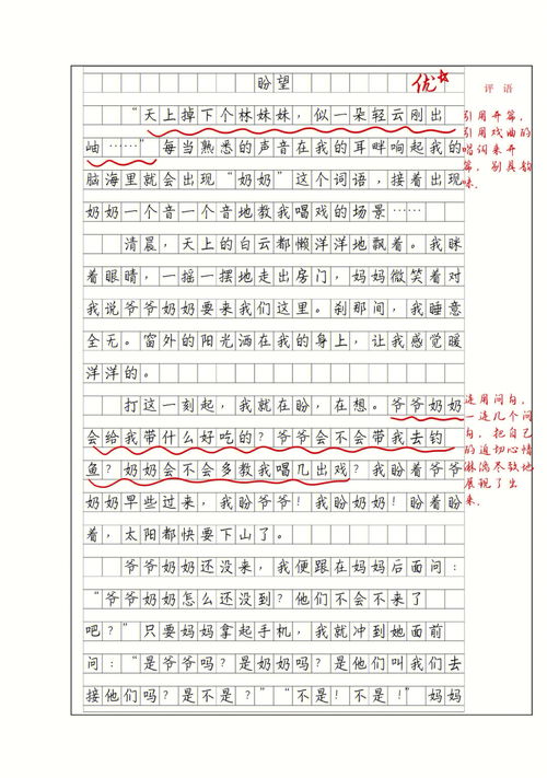高兴的一件事作文800字
