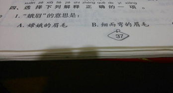 娥眉指什么，娥眉什么什么的成语