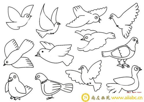 1一3岁鸽子画法，鸽子画法图片