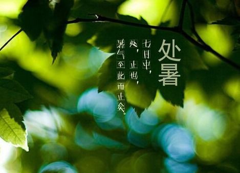 处暑是什么意思什么时间，白露是什么意思