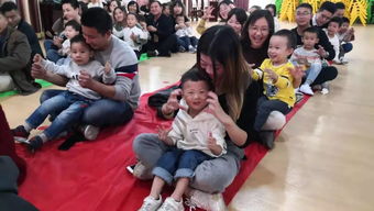 刘娴的个人履历