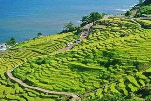 牧田电动工具，牧田手电钻