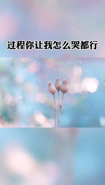 为了自己的梦想而努力的句子，为了自己的梦想作文700字