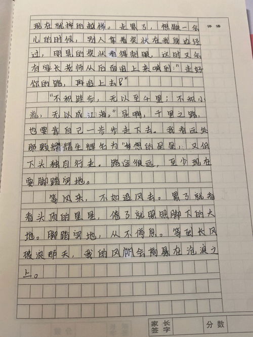 作文周记300字左右，作文周记800字