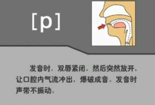 garage怎么两种读音,正确读音是