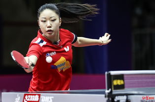 张安做什么行业的?中天精装总经理