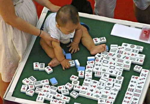 扫黑除恶心得体会500字，扫黑除恶心得体会300字左右