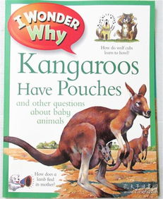 kangaroos阅读理解答案，kangaroos怎么读英语发音