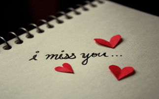 无论 总要造句，用无论总要造句