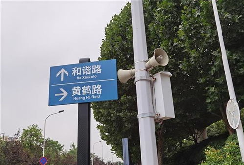 路标网，路标线