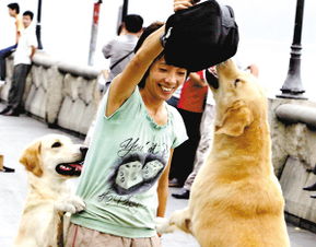 小狗当家电影国语版，小狗当家是哪个国家的