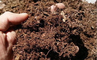 土星图片，土星