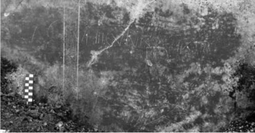 大解果的功效与作用 大解果有什么功效