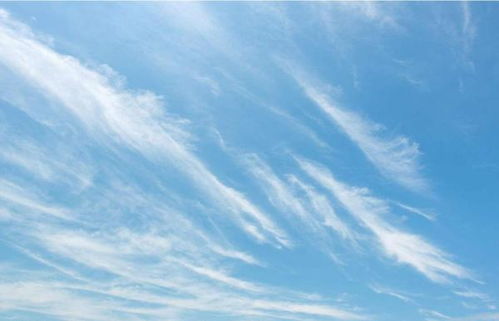 风轻云淡跟云淡风轻的意思，从此云淡风轻的意思