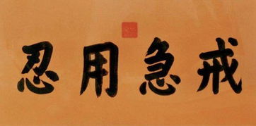 "戒急用忍"何解?