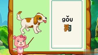 动物拼音怎么拼写声调，两栖动物拼音