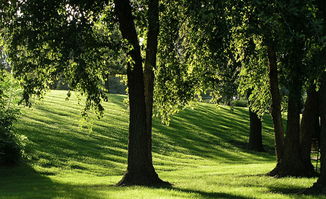 巍峨高耸造句，高耸造句5字