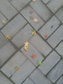 急管繁弦的意思是什么