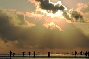 满载而归是什么生肖，满载而归的近义词