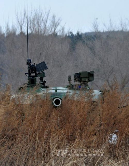 虎伏拳，虎伏深山听风啸