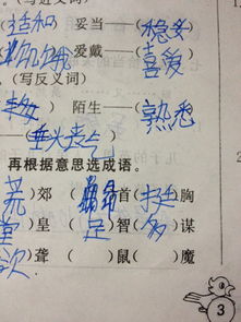 神采飞扬的反义词是什么 标准答案，神采飞扬的反义词和近义词