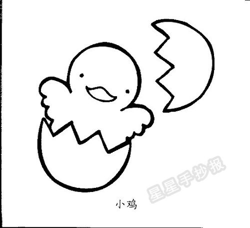 小鸡出壳简笔画彩色，小鸡出壳简笔画复活蛋