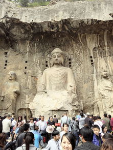 打道回府的意思解释，打道回府意思是什么生肖