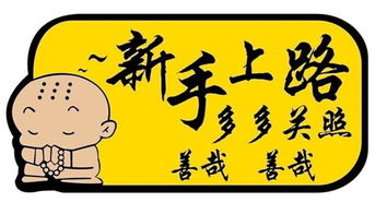 新手上路找陪练，新手上路注意事项及驾车技巧