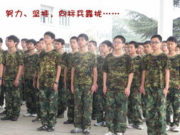 军训的感言