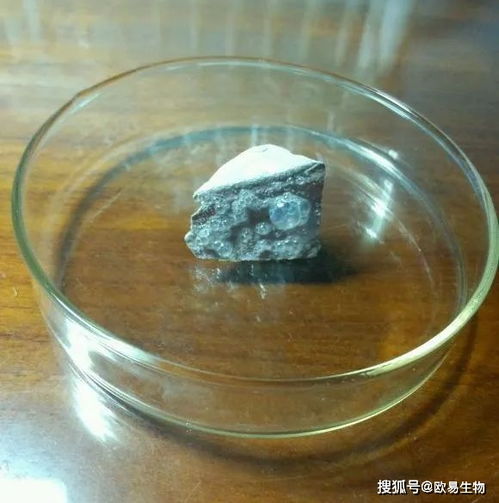 钠在空气中燃烧现象