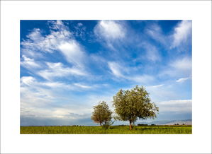 美在我身边作文400字，美在我身边作文650字