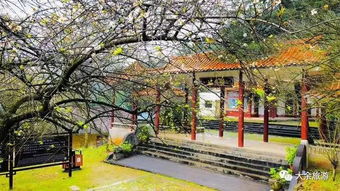 驿外断桥边啥意思，驿外断桥边猜字谜