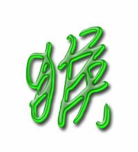 狂笔顺笔画，猴笔顺怎么写?