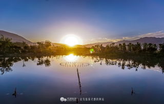 溯流而上什么意思