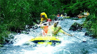 漂流的读音漂流的读音是什么