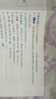 爪的读音多音字组词，爪牙的读音