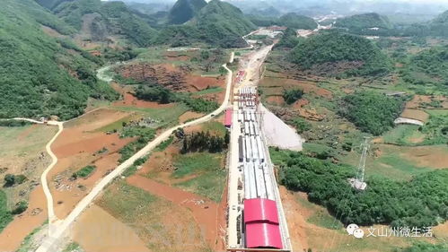 种田文是什么意思，公路文百度百科