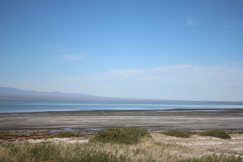 身向榆关那畔行下一句，身向云畔那边行